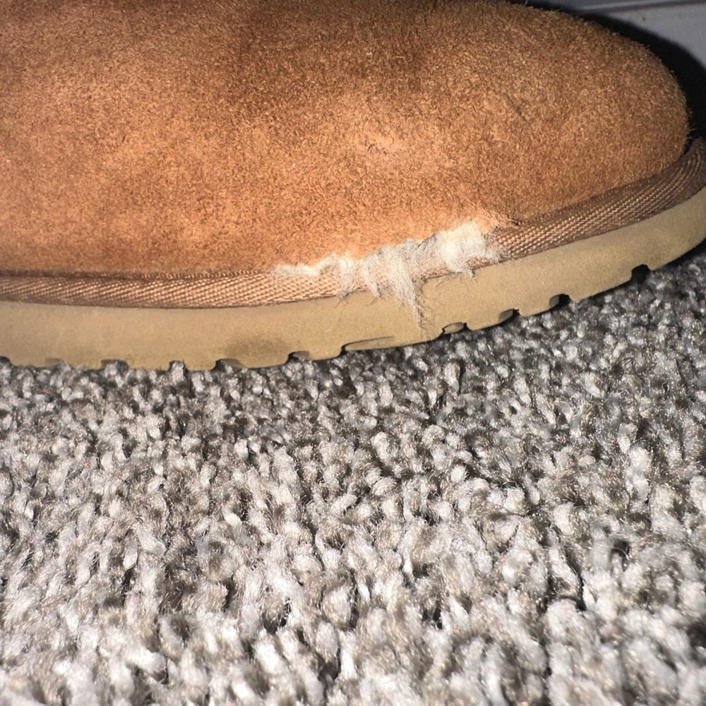 CLASSIC SHORT UGG (CHESTNUT) - Picture 4 of 8